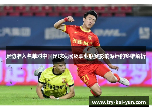 足协准入名单对中国足球发展及职业联赛影响深远的多维解析